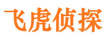 东海市私家侦探